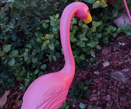 Terry Point Campground