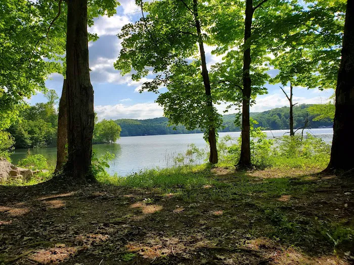 Lake rd. Campground Picture 3