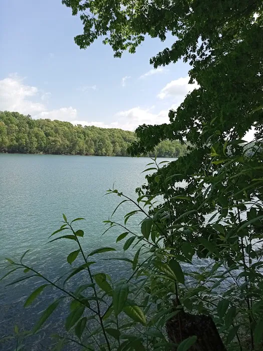Norris Dam East Campgrounds Picture 8