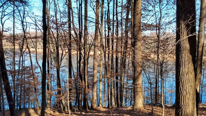 Norris Dam East Campgrounds Picture 4