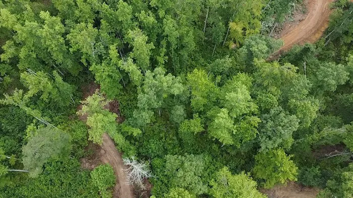 Eagle Rock Resort & Campground Picture 6