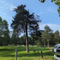 Cove Lake State Park Campground ico