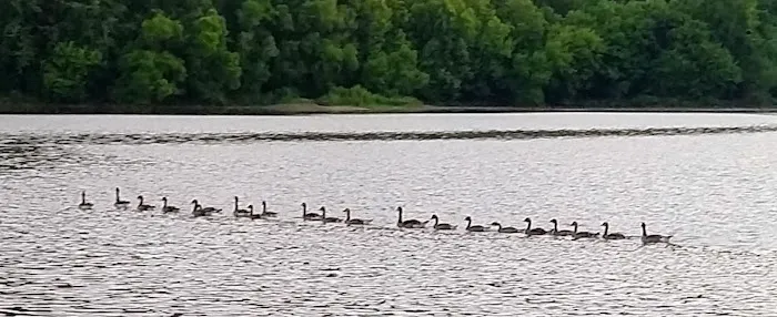Cove Lake State Park Campground Picture 5