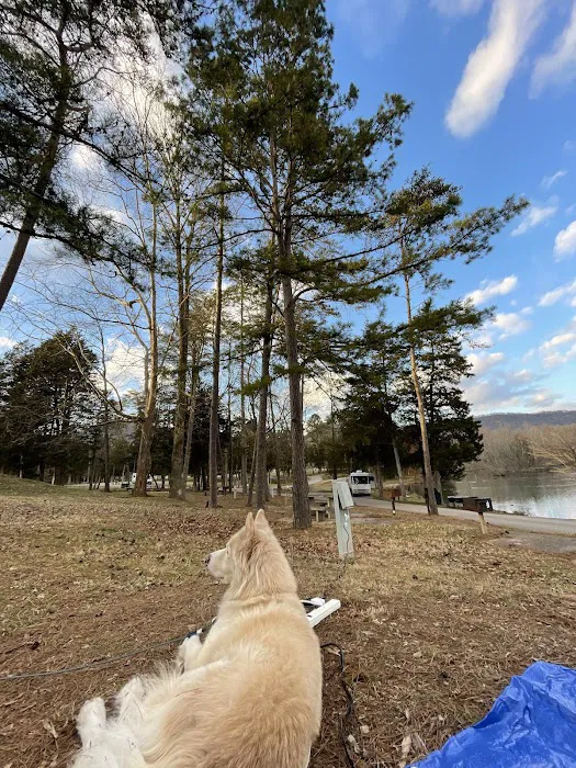 Cove Lake State Park Campground Picture 8