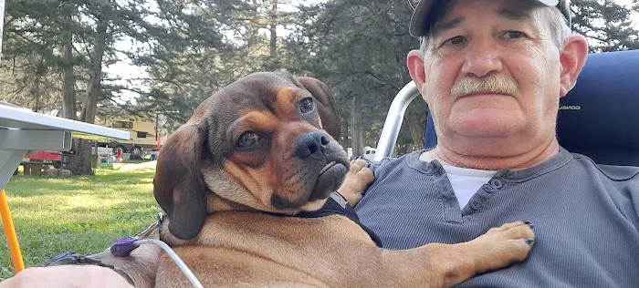 Cove Lake State Park Campground Picture 9