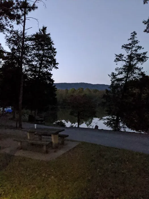 Cove Lake State Park Campground Picture 7