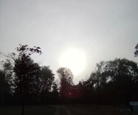 Cumberland River Campground