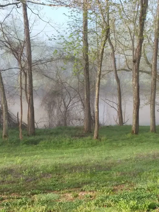 Cumberland River Campground Picture 5