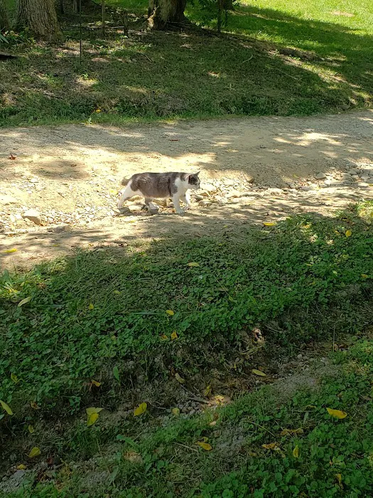 Clayton Geneva Memorial Campground Picture 2