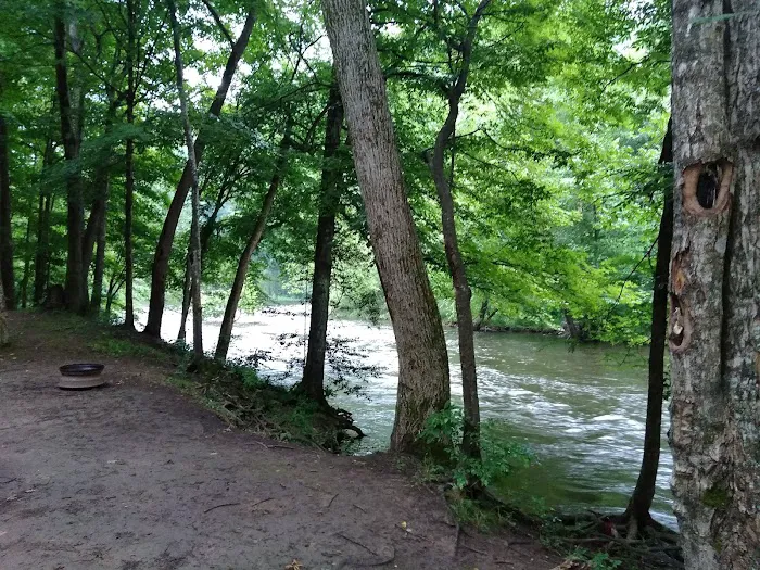 Fox Fire Riverside Campground Picture 4