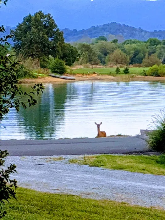 Mountain View Inn Campground Picture 3