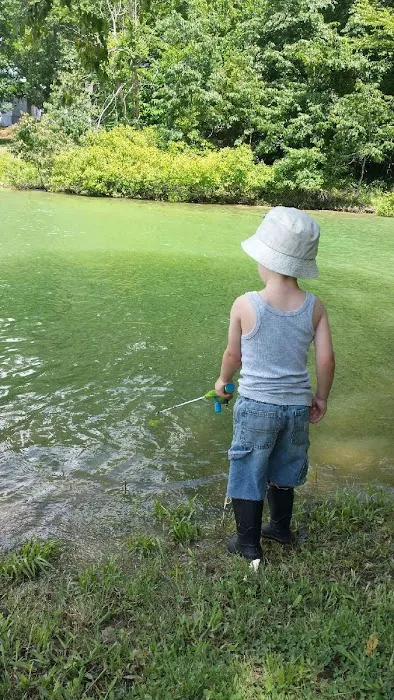 Mountain View Inn Campground Picture 8