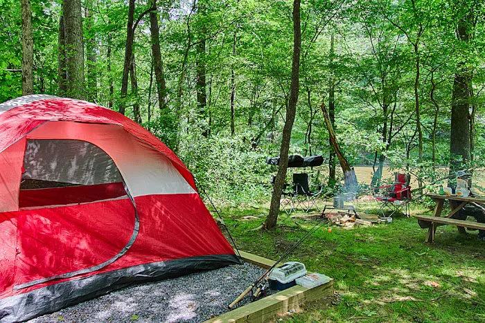 Pigeon River Campground Picture 5