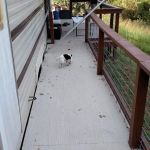 Griffin Island Campground Rentals