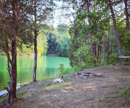 The campsite at Hunkerdown Hollow