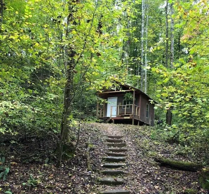 Shoestring Creek Campground Picture 1