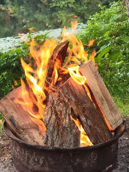 Bluegill Lake Family Camping Resort Picture 4