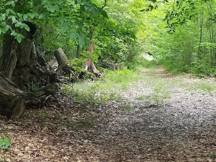 Bluegill Lake Family Camping Resort Picture 8