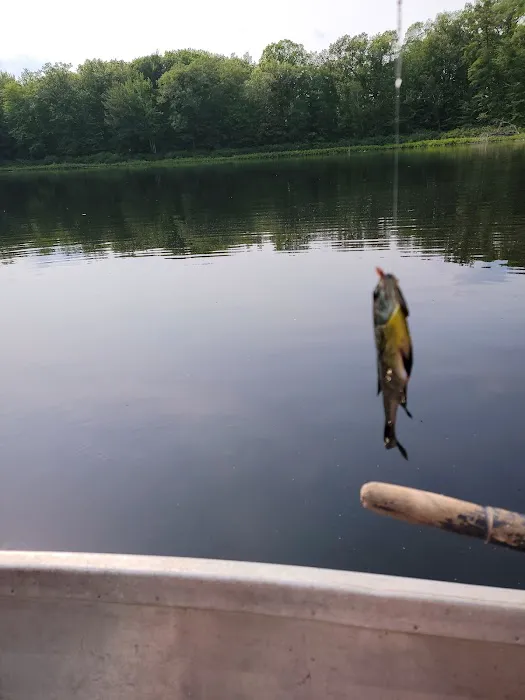 Bluegill Lake Family Camping Resort Picture 10