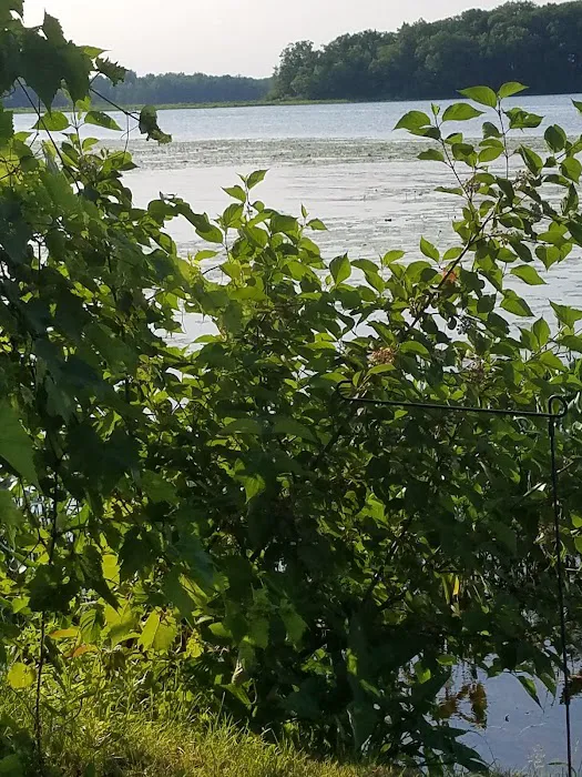 The New Tubb's Lake Resort Picture 4