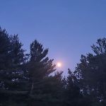 Brass Bell Marina and Campground