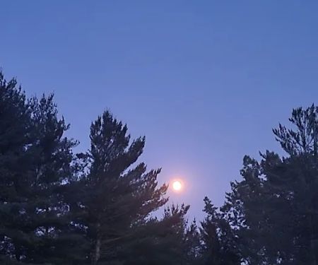 Brass Bell Marina and Campground