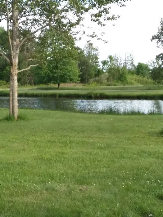 taylors lost haven campground Picture 4