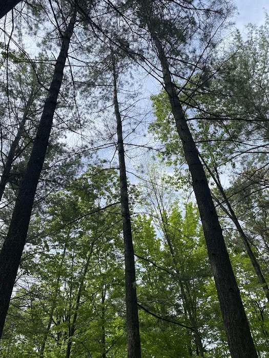 Calhoun Campground Picture 6