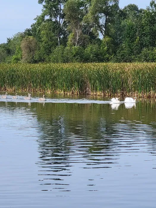 Calhoun Campground Picture 4