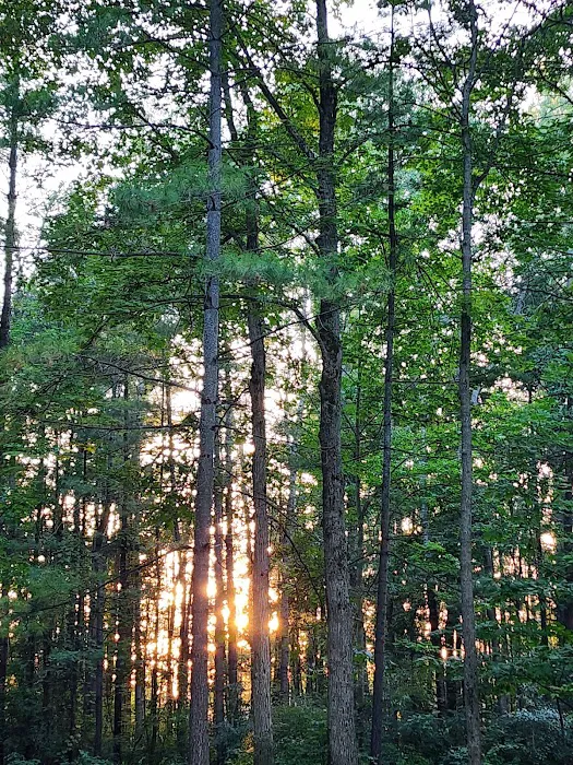 Calhoun Campground Picture 8