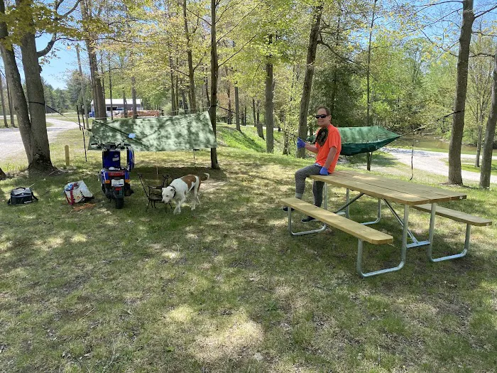 Gladwin City Park Picture 8