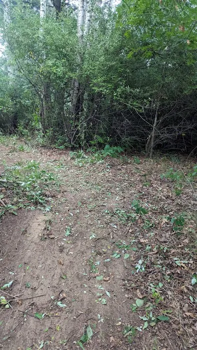 Braxton's Ranch Picture 5