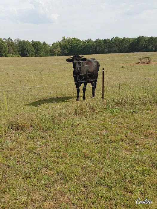 Braxton's Ranch Picture 6