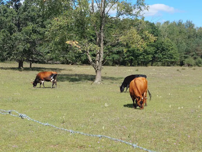 Braxton's Ranch Picture 9