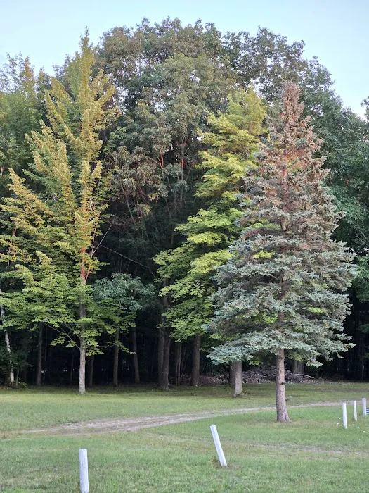 Secord Lake Campground and RV Picture 9