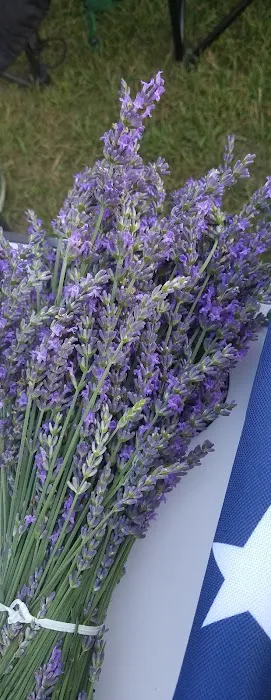 Camper's Haven Family Campground Picture 7