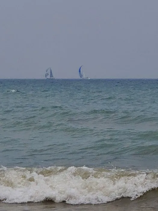 Sanilac County Forester Campground Picture 8