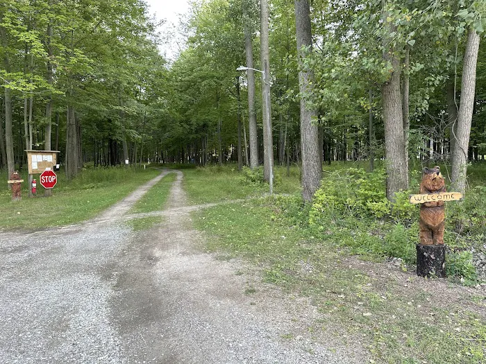 Fort Wilderness Campground Picture 3