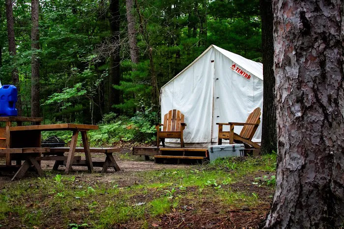 Tentrr Forest Glade Site A Picture 3