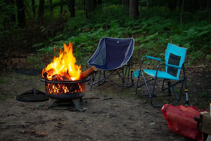 Tentrr Forest Glade Site A Picture 4