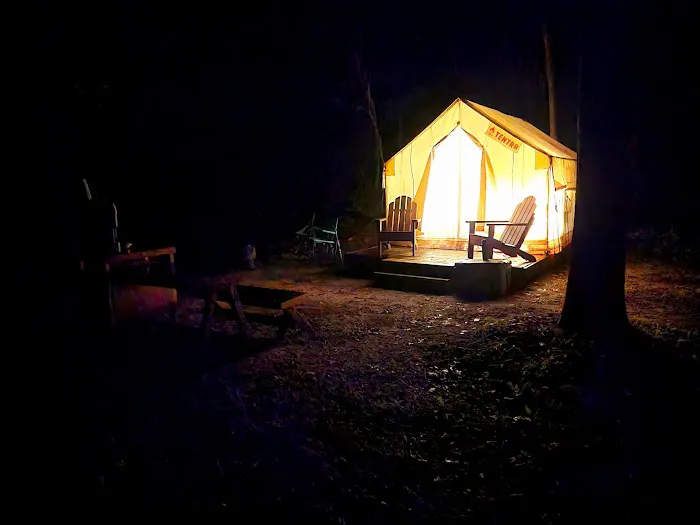 Tentrr Forest Glade Site A Picture 5