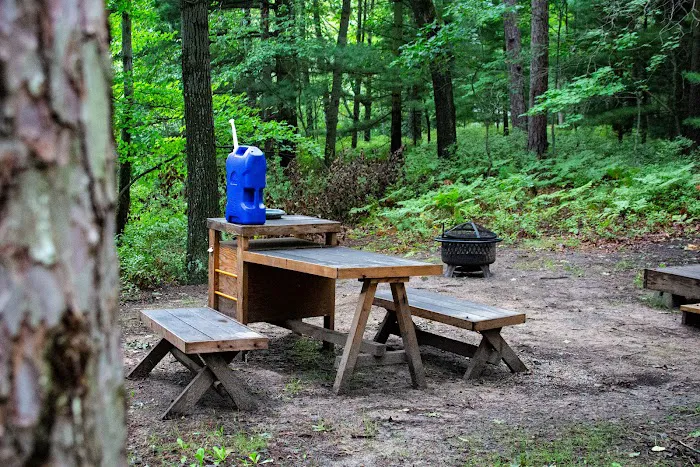Tentrr Forest Glade Site A Picture 7