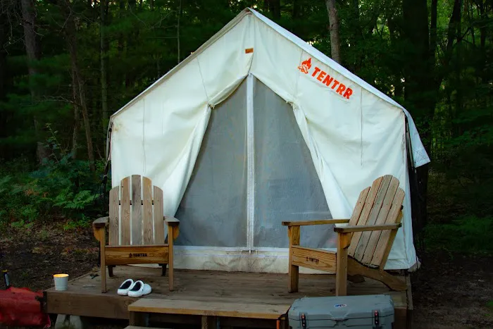 Tentrr Forest Glade Site A Picture 8