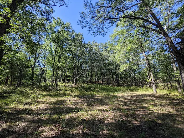 Port Crescent State Park Campgrounds Picture 8