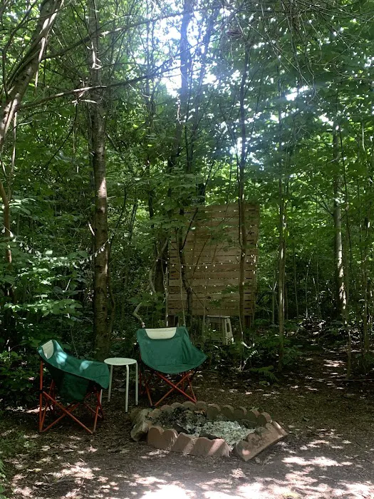 Campside Michigan Picture 6