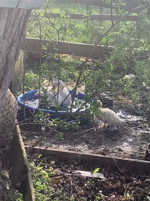 Campside Michigan Picture 10