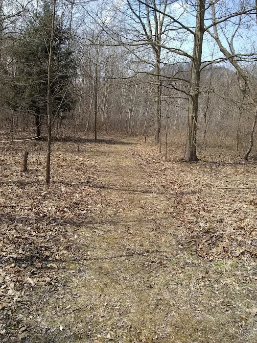Warren Dunes Organizational Campground Picture 2