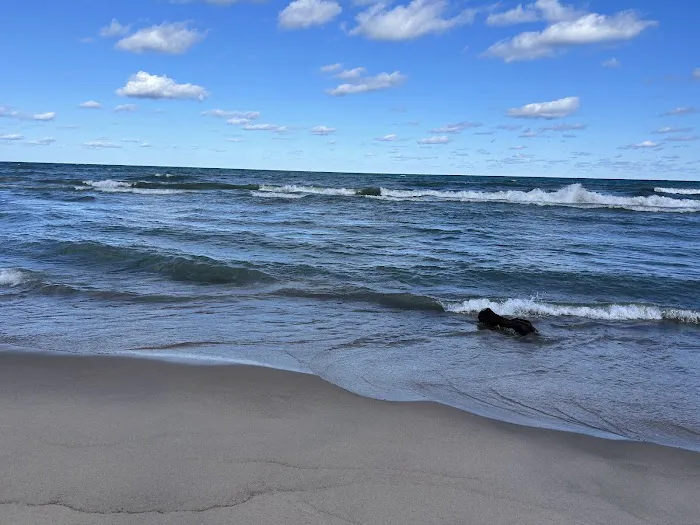 Warren Dunes Organizational Campground Picture 8