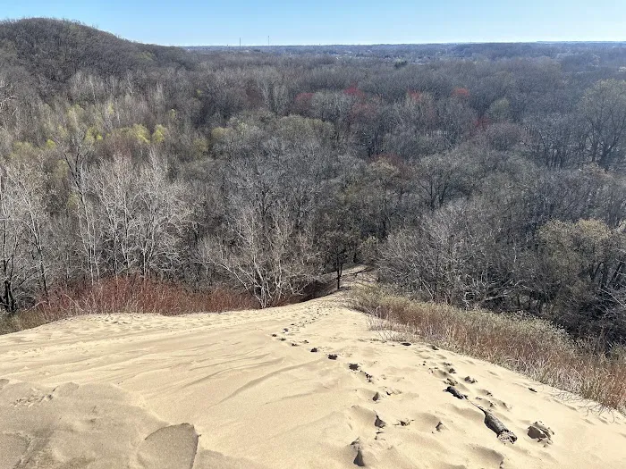 Warren Dunes Organizational Campground Picture 9