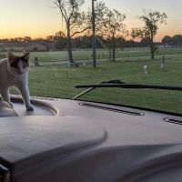 LPCF Campground ico